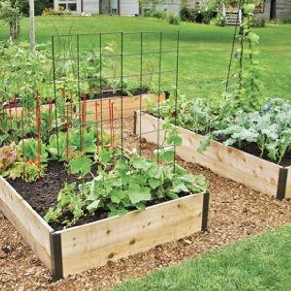 Help Us Set Up Our Garden!