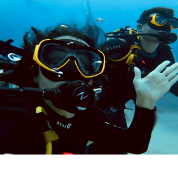 Galápagos Scuba Honeymoon Fund