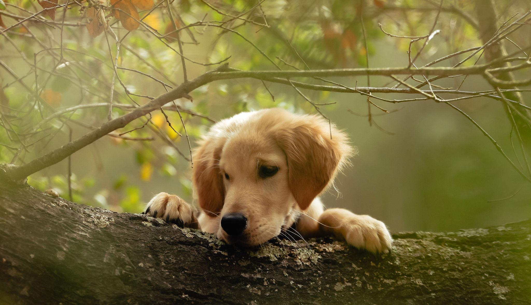 The Wedding Website of Cady Marie Gordon and Garrett Laden Adkins