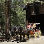 Yosemite History Center