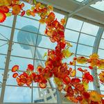 Chihuly Garden and Glass