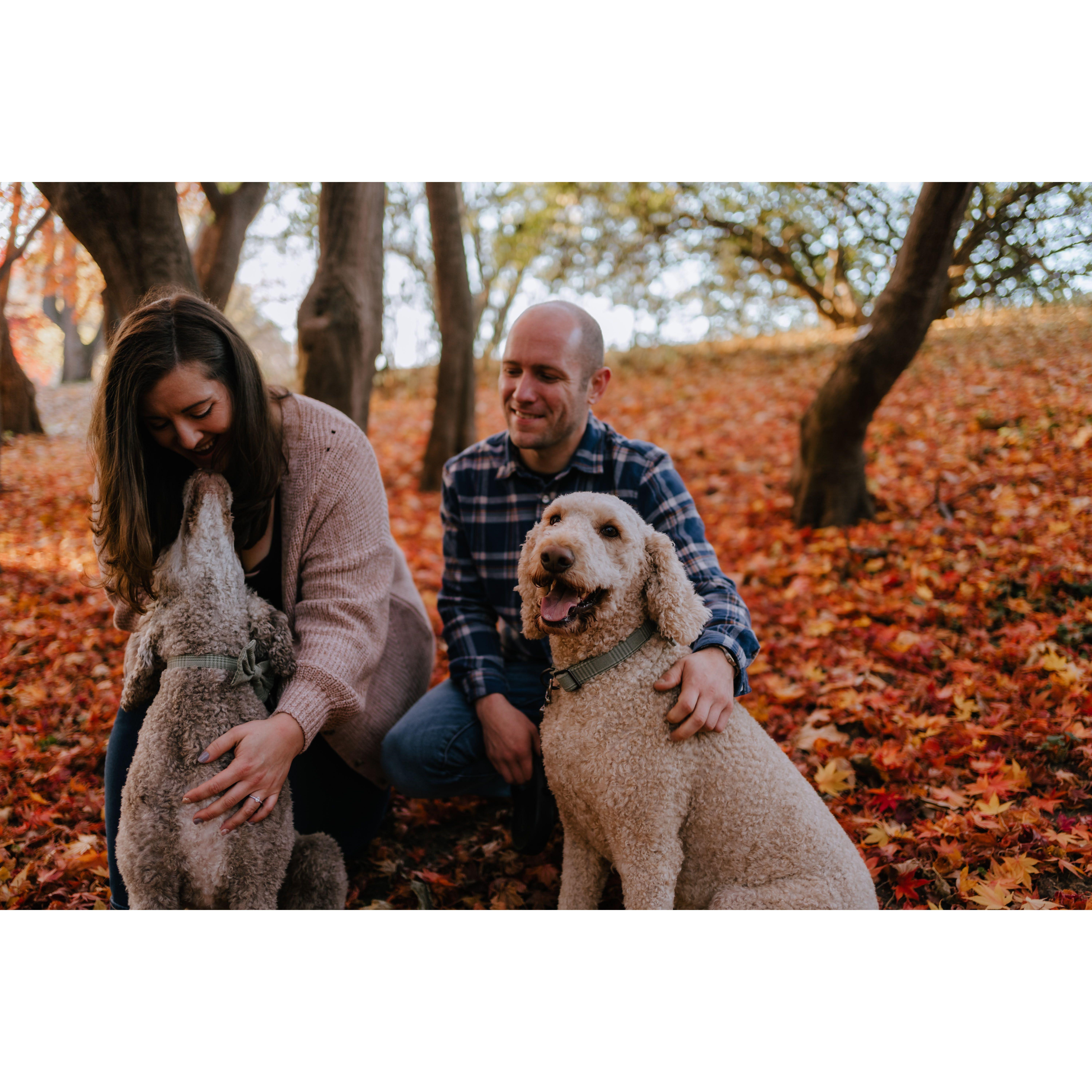 Pretty accurate depiction of our family dynamic :)