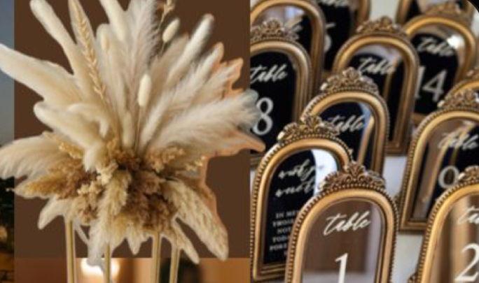 The Wedding Website of Brianna Ceant and Wilkin Joseph