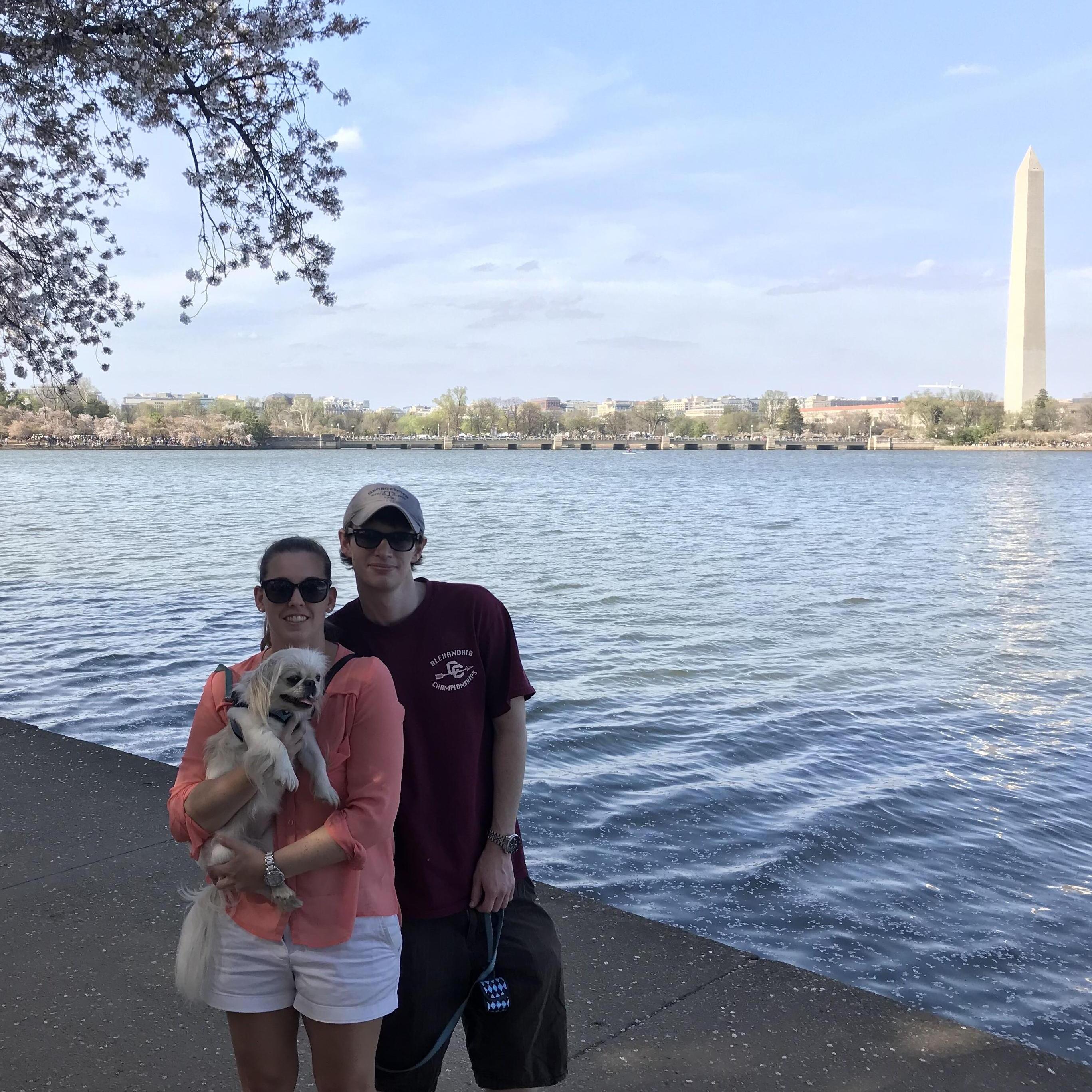 Cherry Blossoms DC 2018