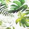 Tropical Leaf