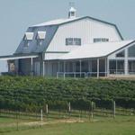 Blue Ostrich Winery & Vineyard