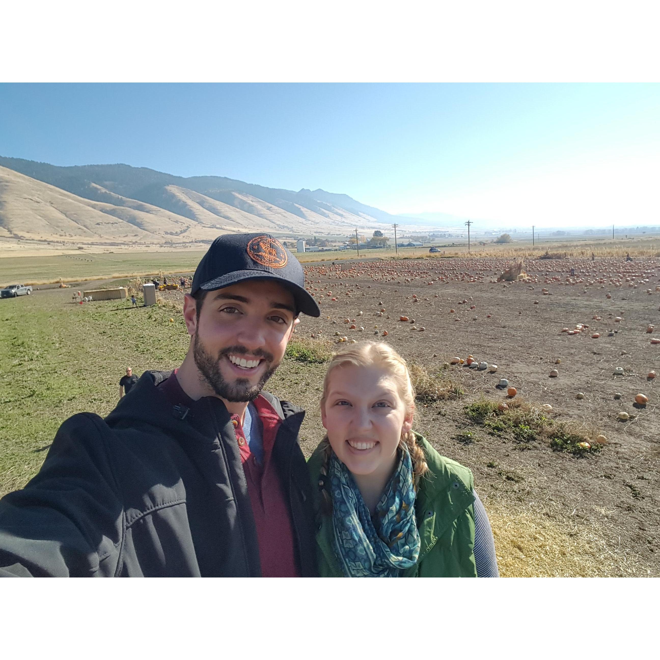Pumpkin picking, 2017