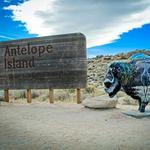 Antelope Island State Park
