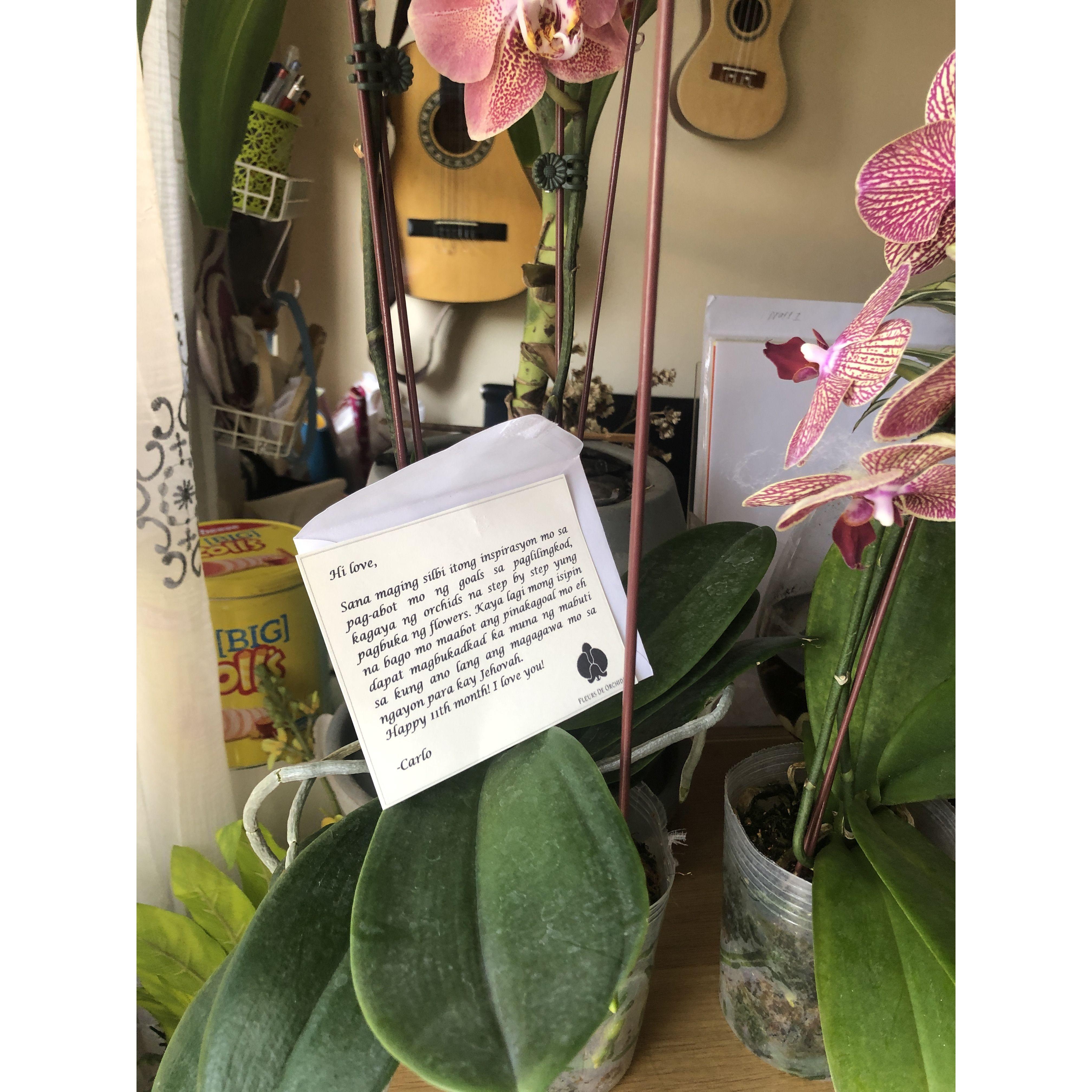 a year passes, our first anniversary flowers.