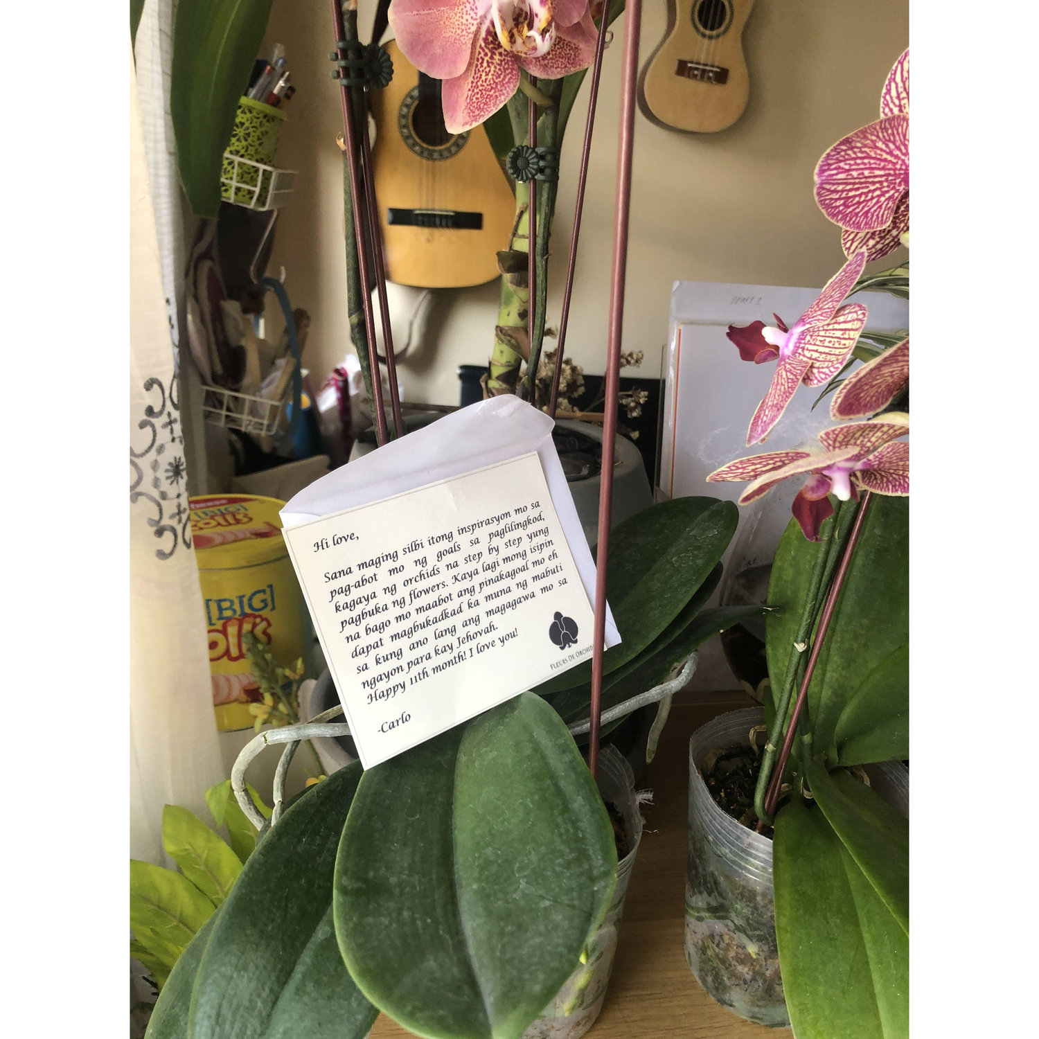 a year passes, our first anniversary flowers.