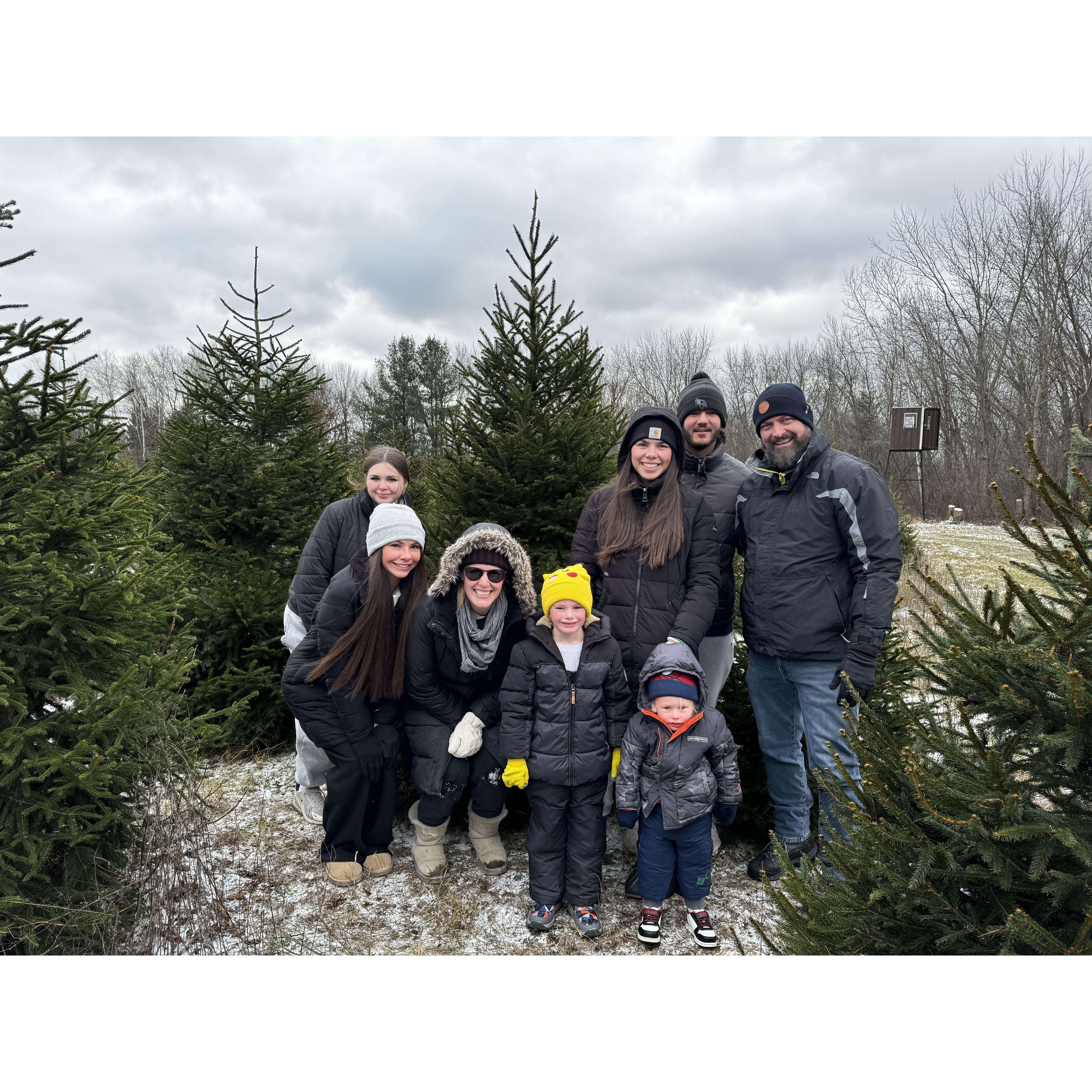 We cut our own tree every year!
