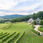 Spirited Tours (Winery Tours from Washington, D.C. to Virginia and Wine Tasting Events)
