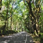 North Tacoma (Ruston/Point Defiance)