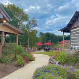 Cavender Creek Vineyards