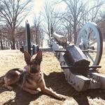 Valley Forge National Historical Park