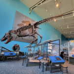 Maryland Science Center