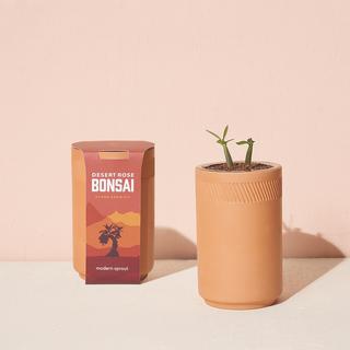 Terracotta Grow Kit