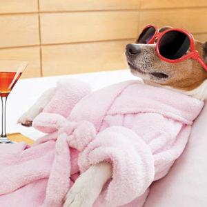Honeymoon Spa Day