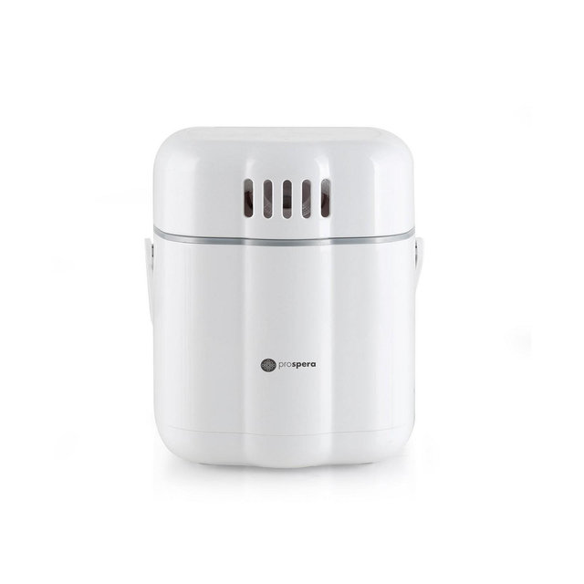 Hot Mist Nano Steamer