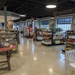Cape Roots Market