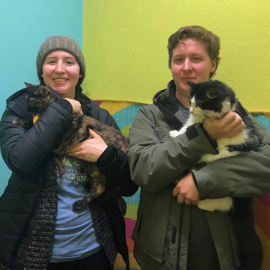 The day we adopted our cats, Stella and Ridley, in February 2019!