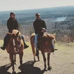 Equus Meadow Riding Stable
