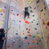 Hangar 18 Indoor Climbing Gym - Upland