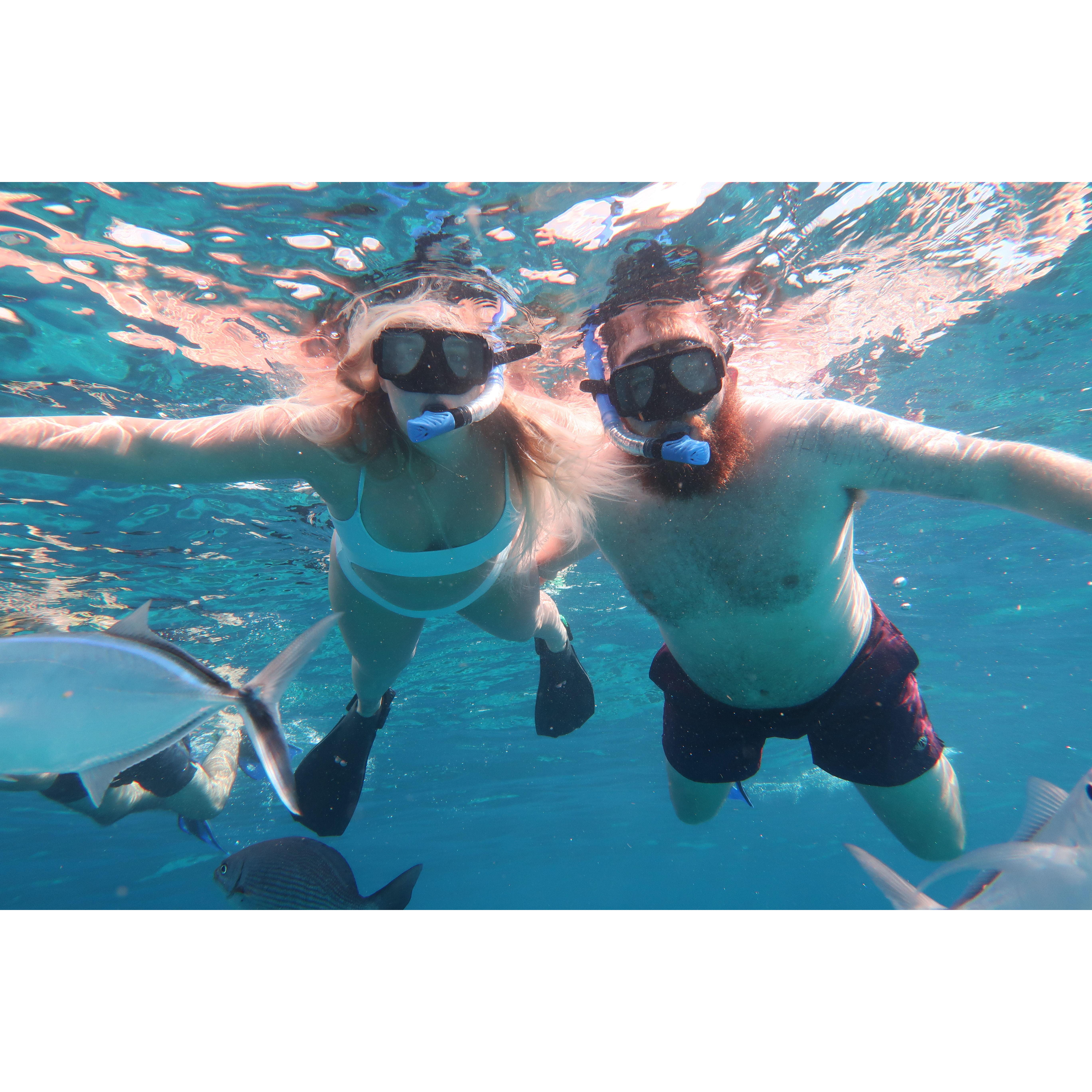 One of the coolest activities we have done, a snorkeling trip off the coast of Cozumel, MX.