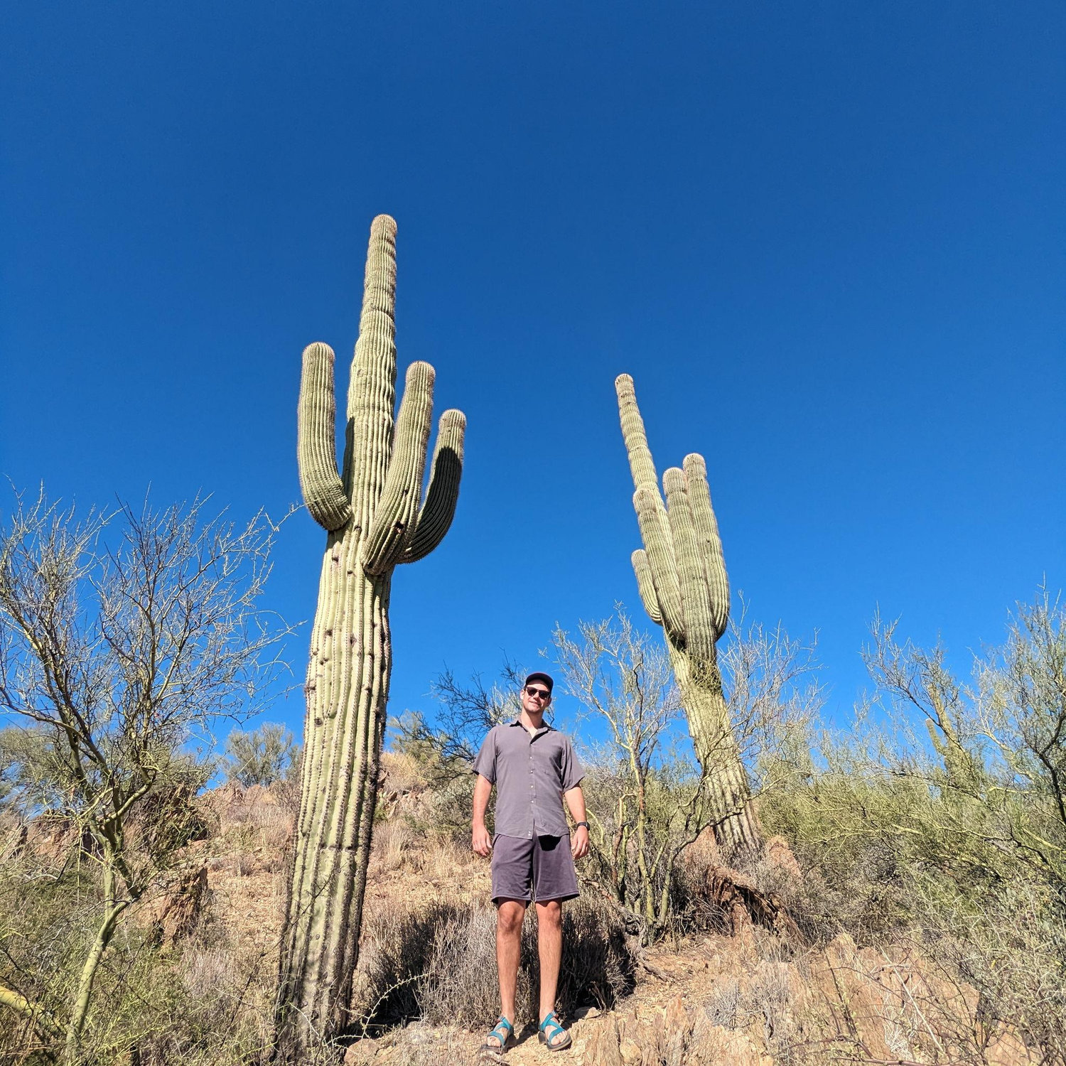 Who's taller?
