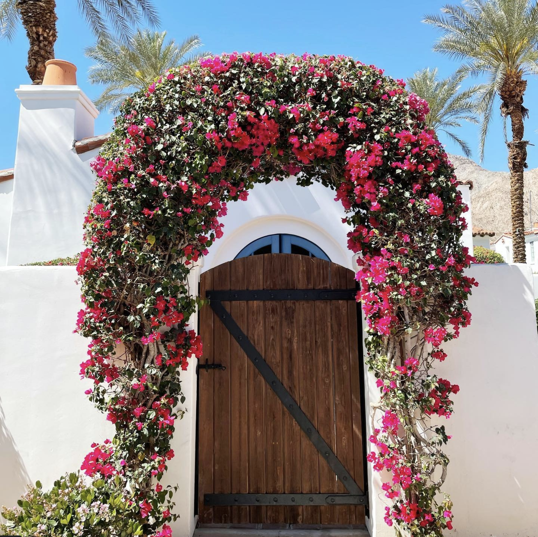 The Wedding Website of Chloe McCormack and Spencer Lujan