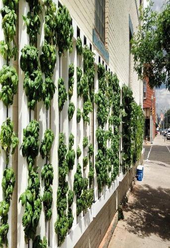 ZipGrow Farm Wall (4 towers)