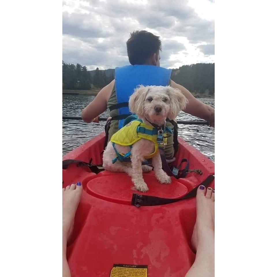 Dunkin goes everywhere with us, he has slowly gotten used to the kayak!