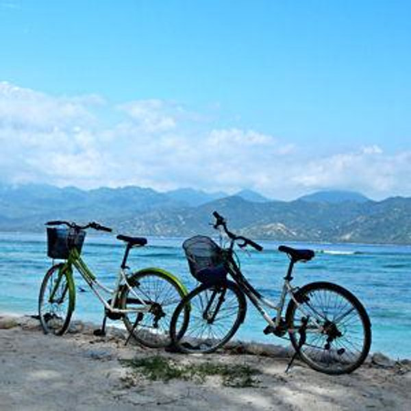 Bicycle Rental