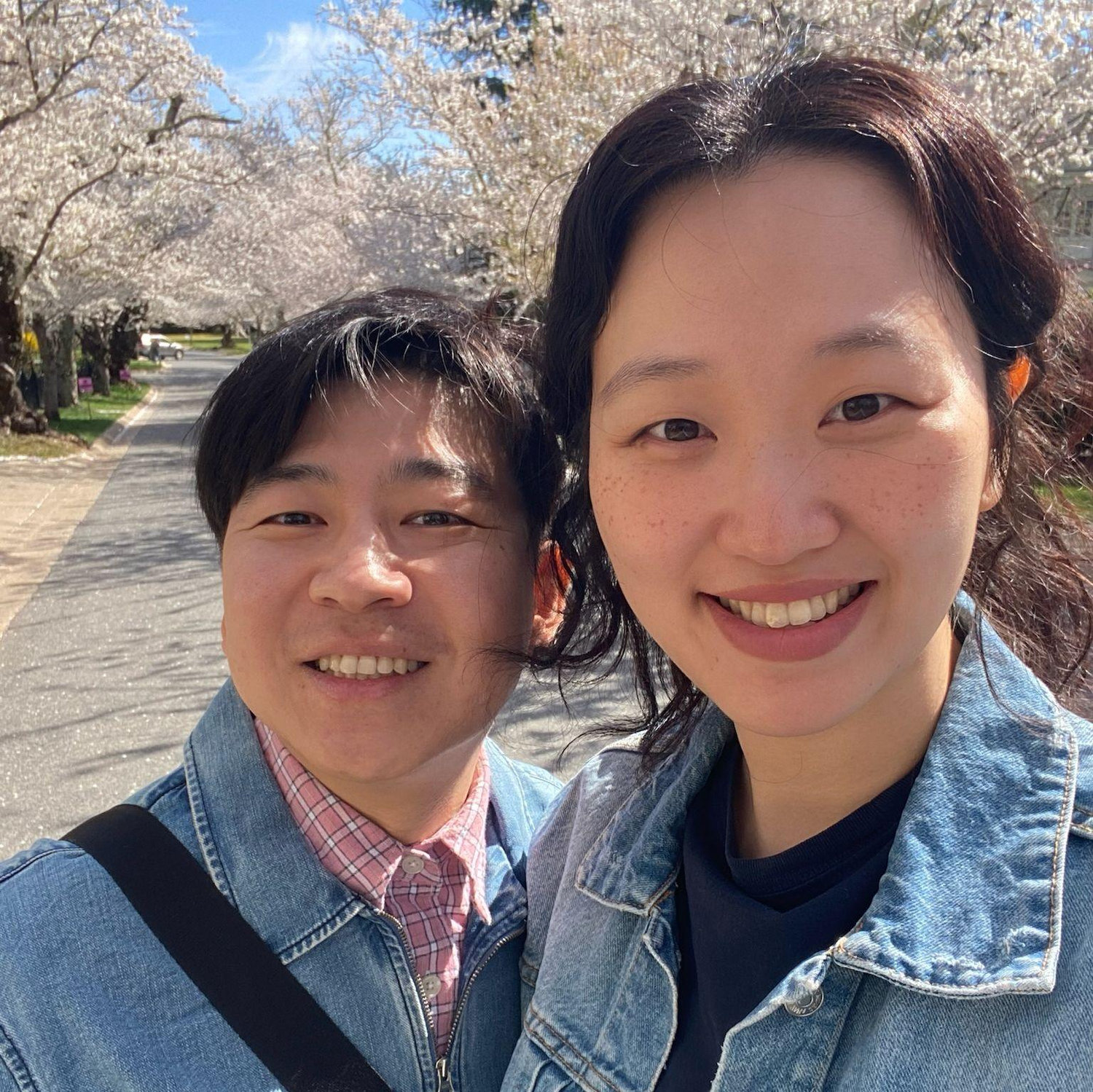 Mar 2026 - Kenwood Cherry Blossom Community