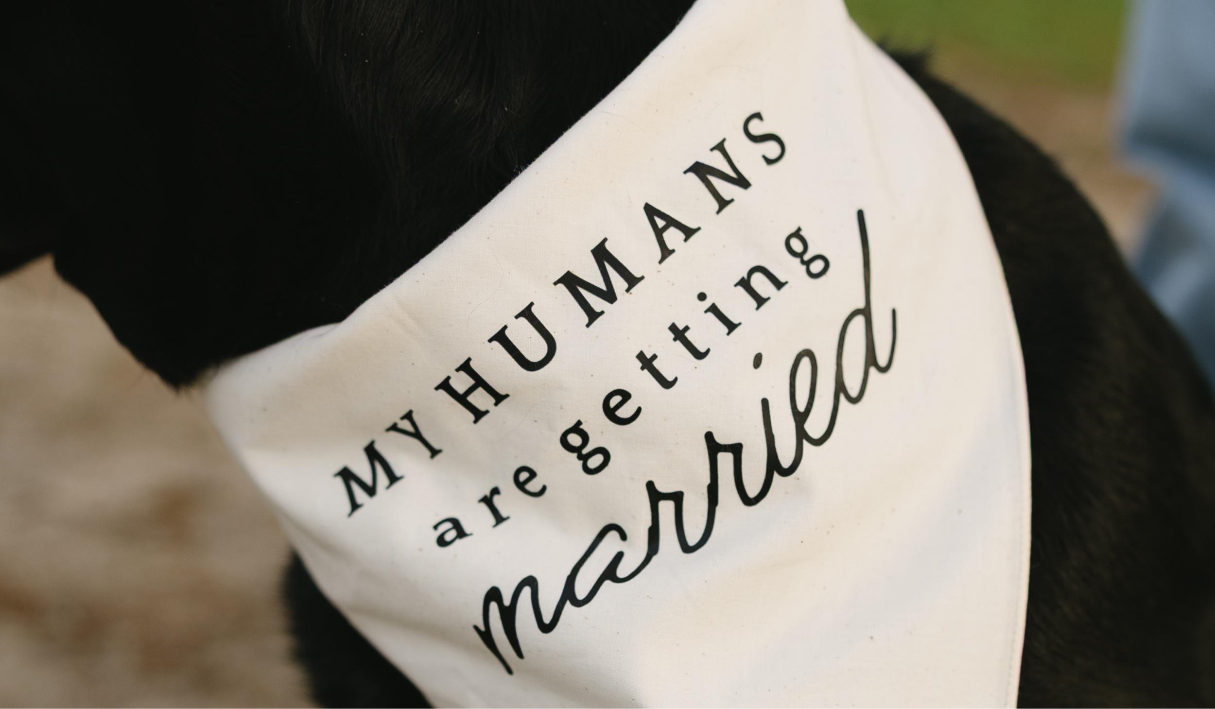 The Wedding Website of Paige Foreman and Tyce VanderLaan