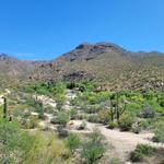 Sabino Canyon Recreation Area
