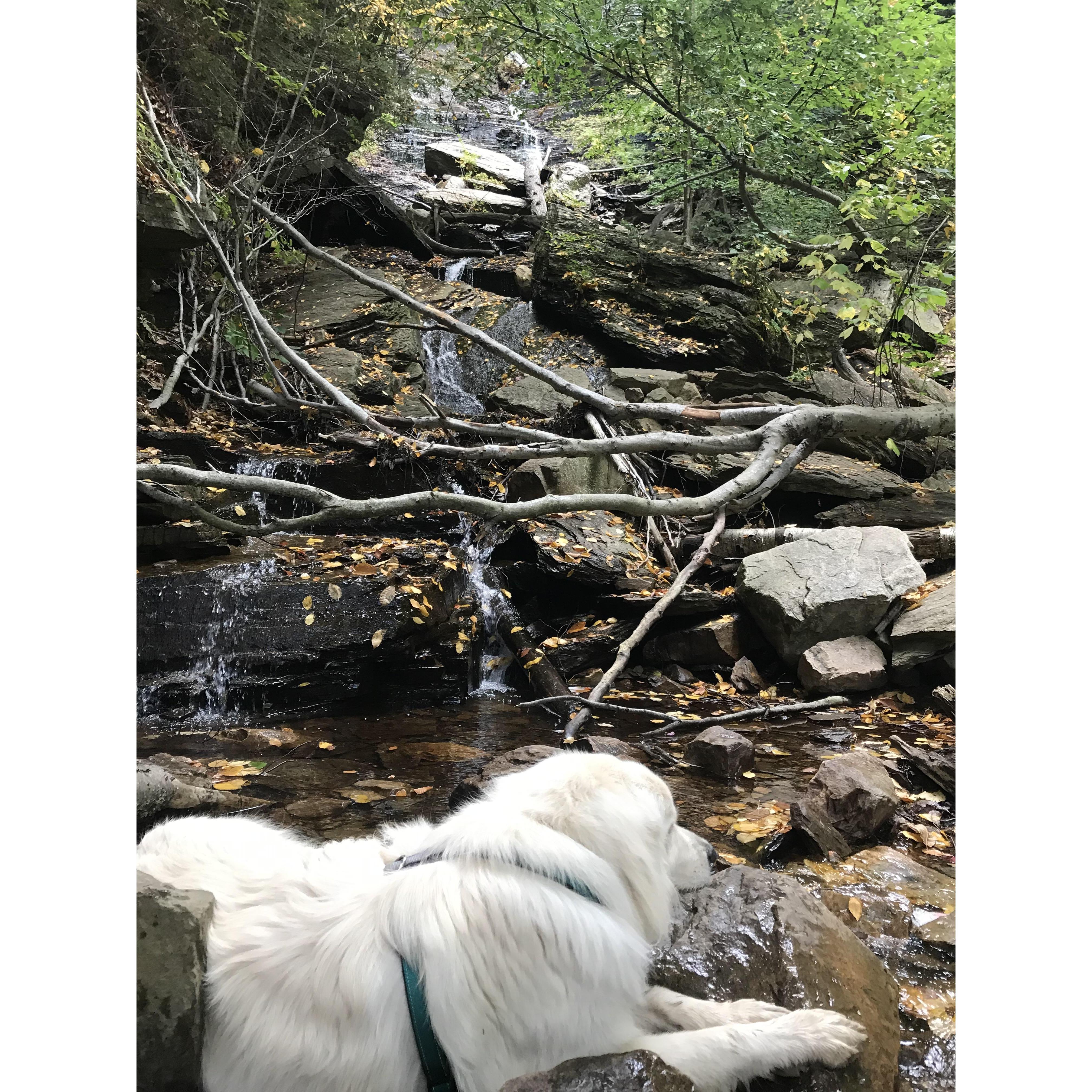 Cool down creek lay, Lye Brook Falls VT.