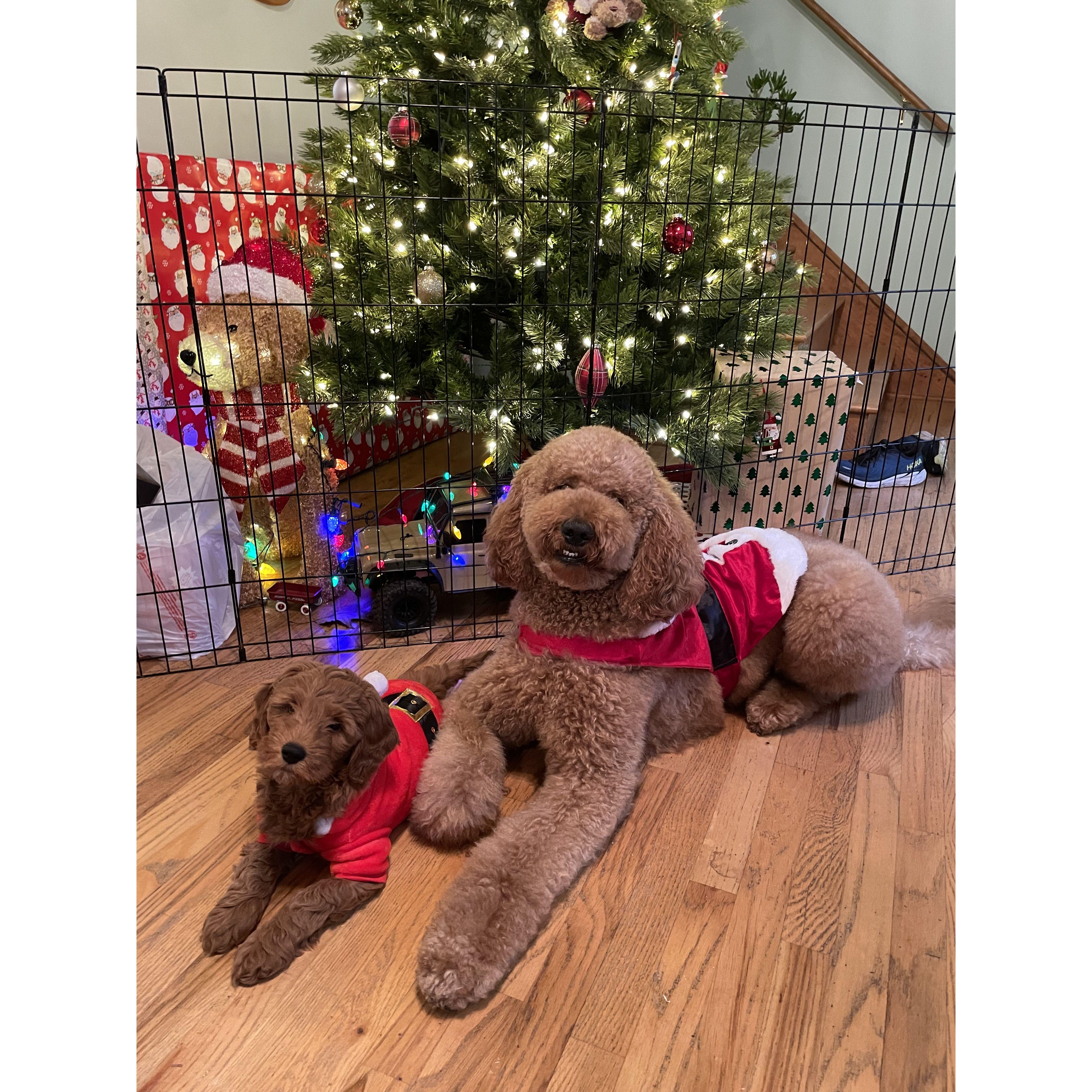 Rudy & Louie