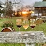 Balderdash Cellars