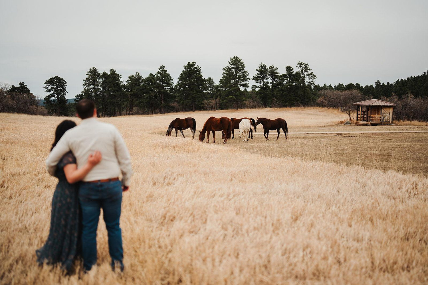 The Wedding Website of Mikelah Suzuki and Parker White