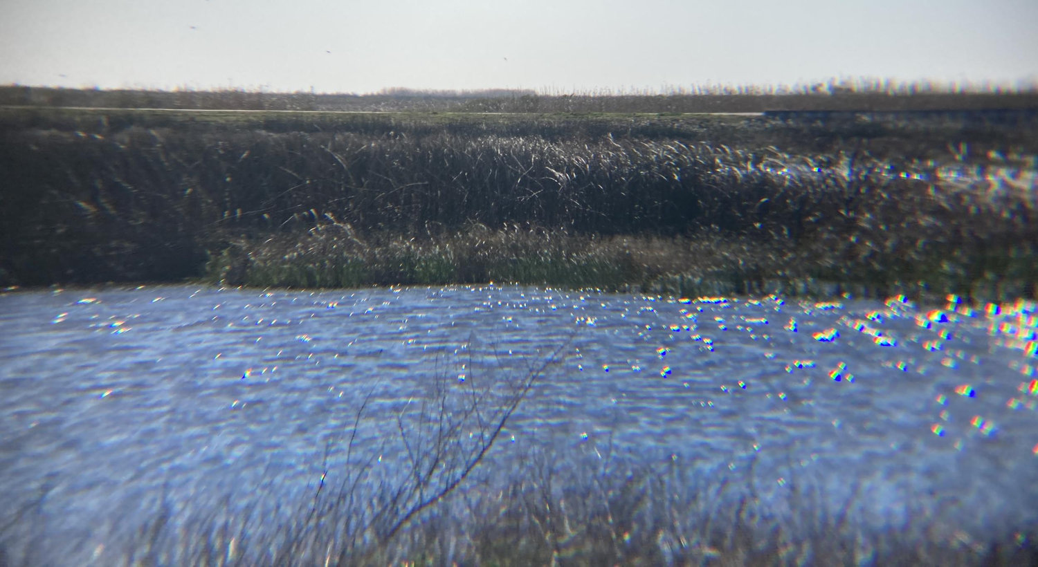 Footer image