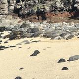 Ho'okipa Beach Park