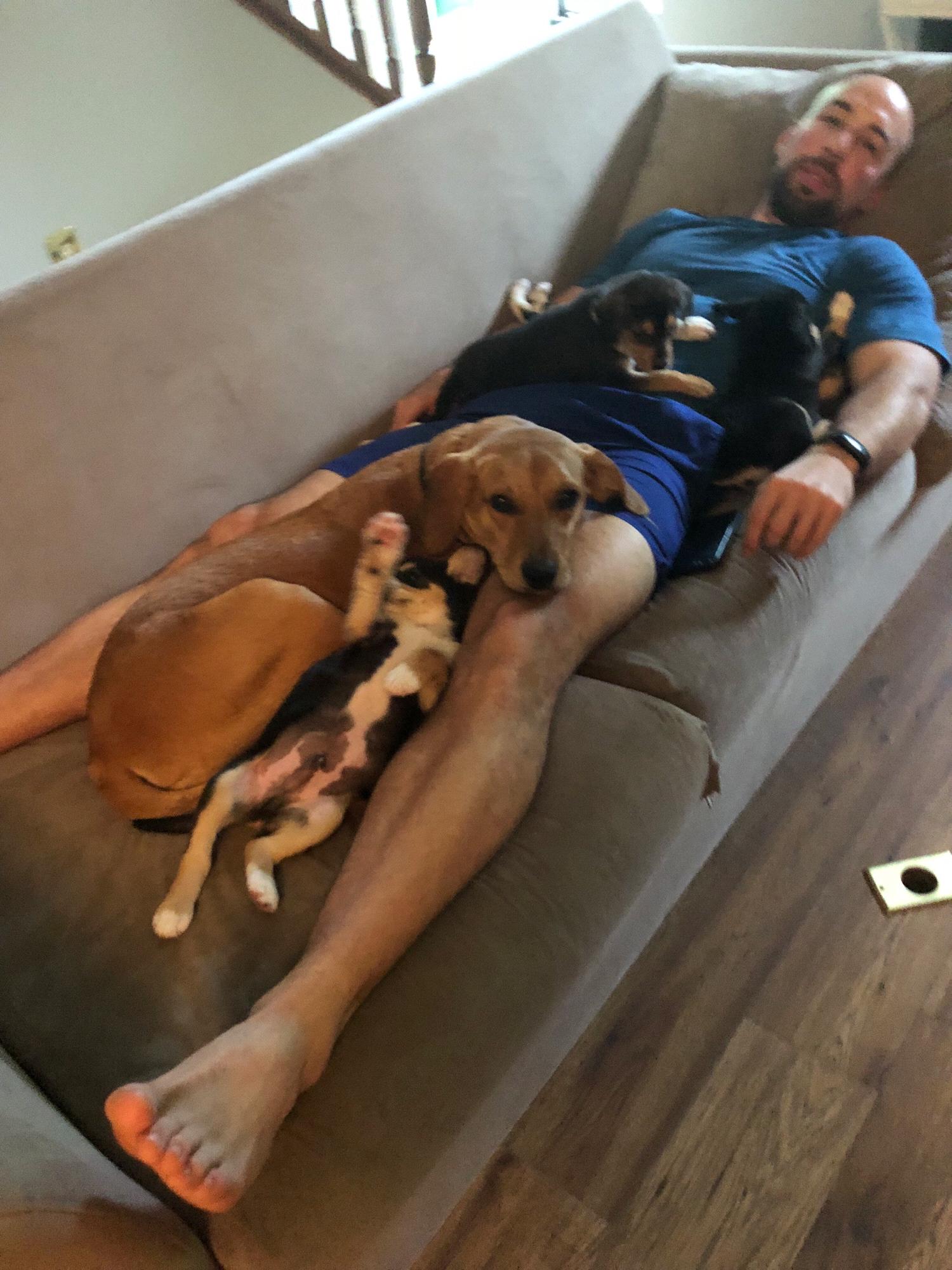 Snoozes with the fosters (all 5 of them) and Lily
