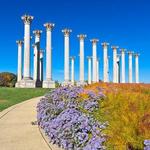 National Capitol Columns