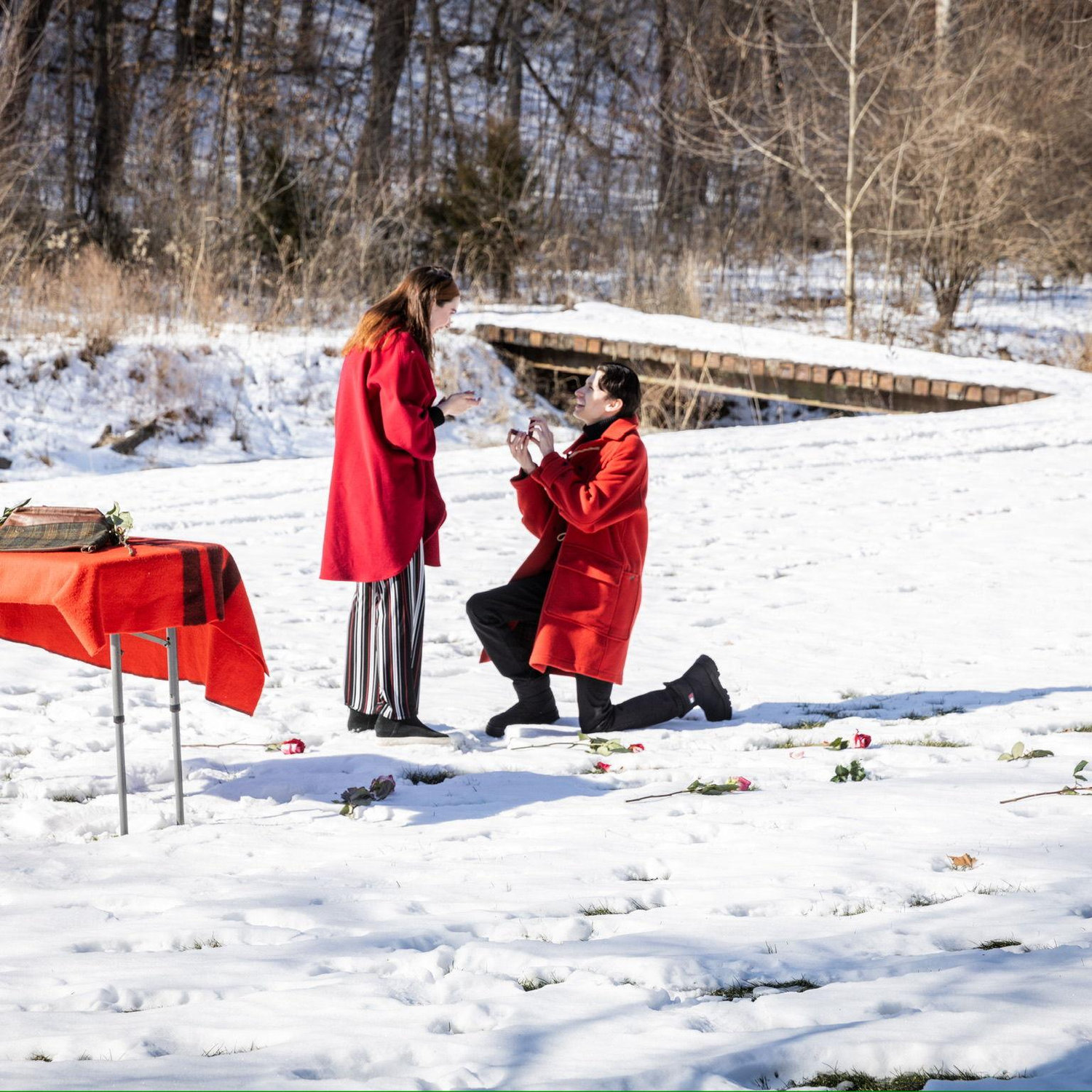William kneeling down proposing to Margo