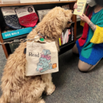 Politics and Prose Bookstore