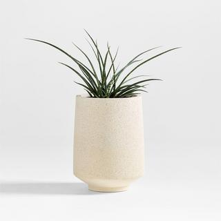 Havana Footed Indoor/Outdoor Planter
