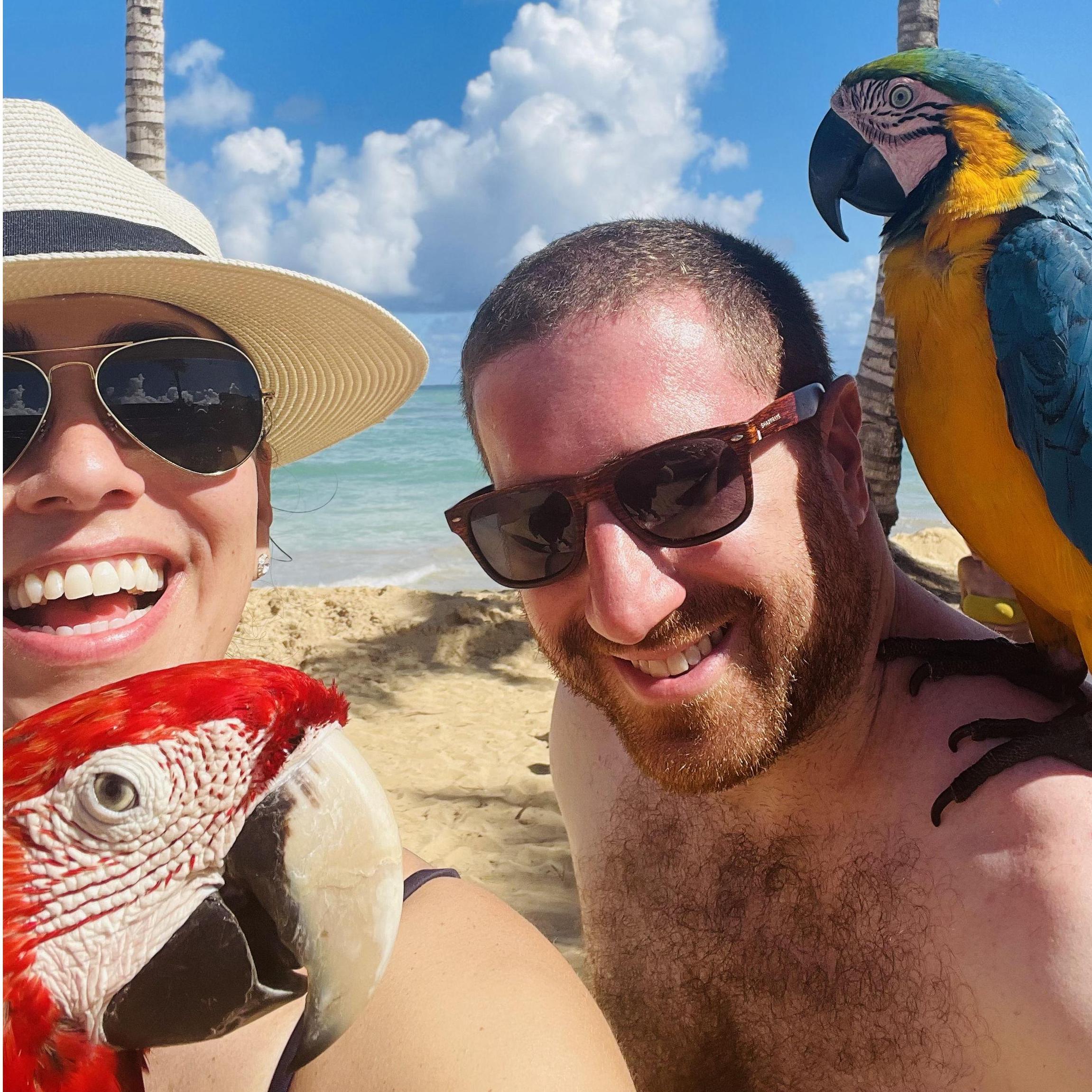 The one where we made some new friends in the Dominican Republic