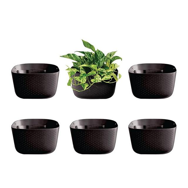WallyGrow Eco Wall Planter, Create a Plant Wall with Hanging Planters for Indoor or Outdoor Use (Espresso, 6)