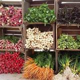 Callicoon Farmers' Market